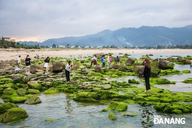 hàng nghìn chen nhau đổ về bãi rêu ghềnh đá nam ô để chụp ảnh: đông từ sáng sớm đến chiều muộn