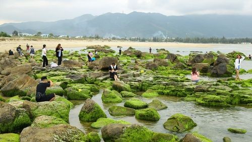 hàng nghìn chen nhau đổ về bãi rêu ghềnh đá nam ô để chụp ảnh: đông từ sáng sớm đến chiều muộn