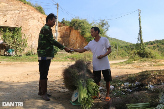 buy and sell, dak nong, forest fire, poverty reduction, go to the forest to collect buds and sell them, earn half a million dong a day