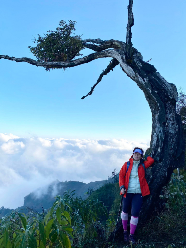 athletes, extreme sports, northern vietnam, participants, snacks, social networks, weather forecast, the new trend of “adventure collection” of sisters to conquer thousands of meters high mountains in vietnam
