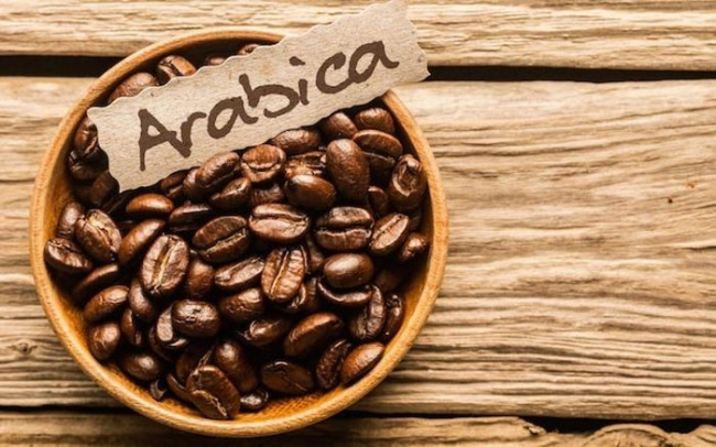 kinh nghiệm, kinh doanh, cafe arabica là gì? đặc điểm, cách pha và địa chỉ mua uy tín
