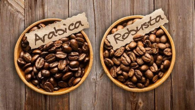kinh nghiệm, kinh doanh, cà phê blend là gì? những tỷ lệ phối trộn cà phê (coffee blend) ngon nhất