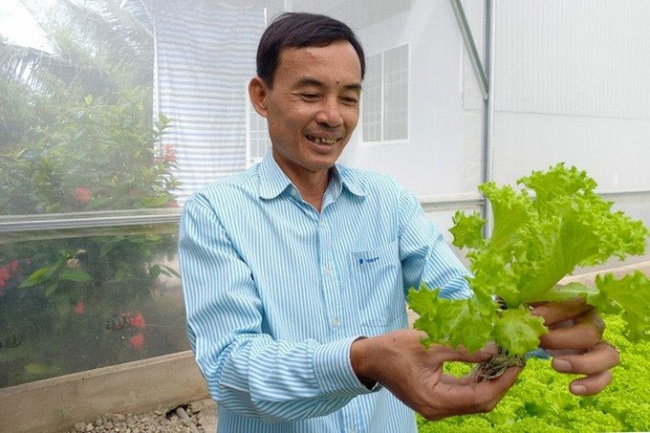 grow vegetable, manager, starting a business, the director of u50 quit his job, and started a vegetable-growing business, making 100 million/per month