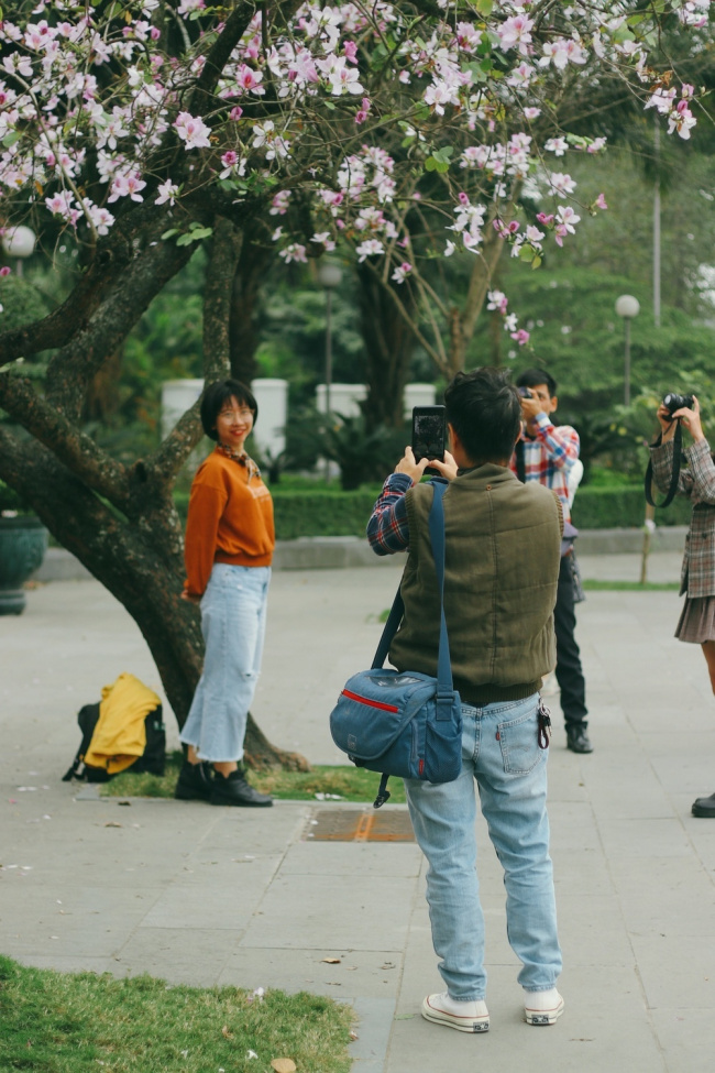 hanoi, hanoi travel, young people gather to take pictures of the ban flower season in hanoi