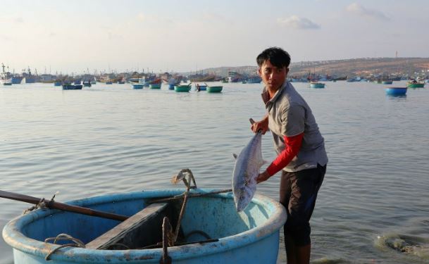 binh thuan, binh thuan specialties, fishermen, mui ne, phan thiet seafood, mui ne fisherman enjoys the mackerel season
