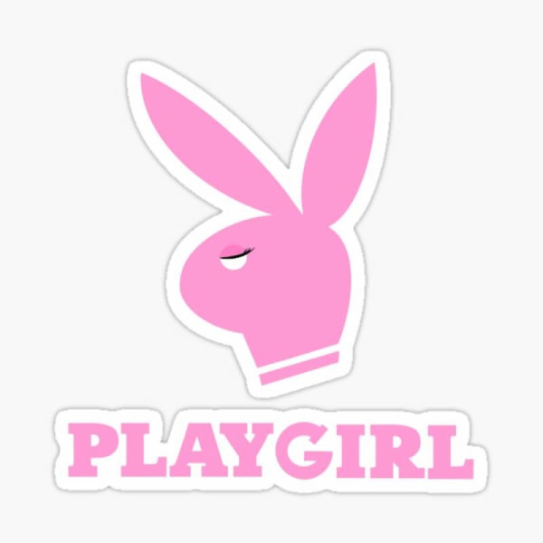 playboy là gì? playgirl là gì? giải đáp ý nghĩa từ ngữ này là từ gì?