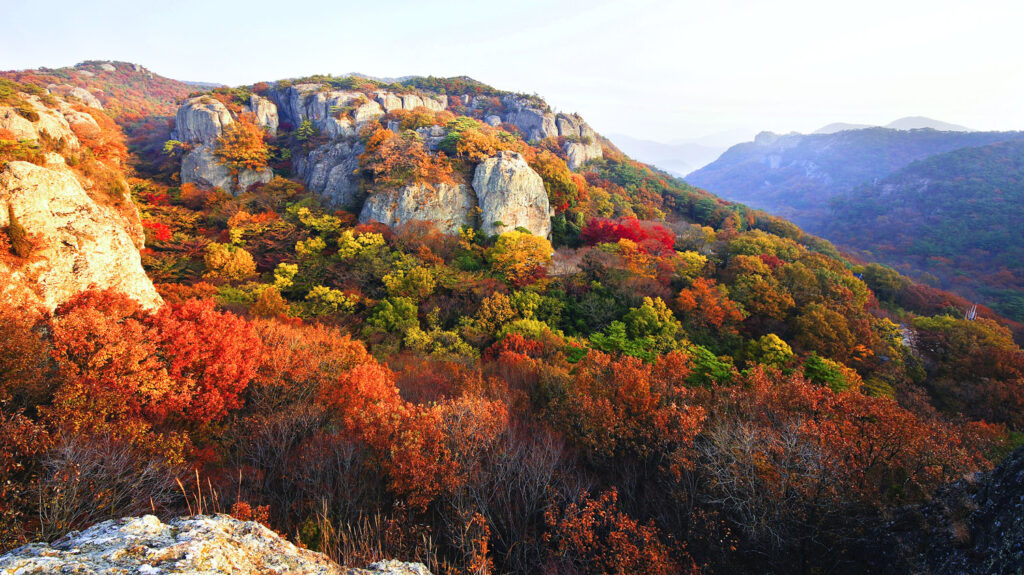 kinh nghiệm du lịch hàn quốc mùa thu và top 5 địa điểm nổi tiếng
