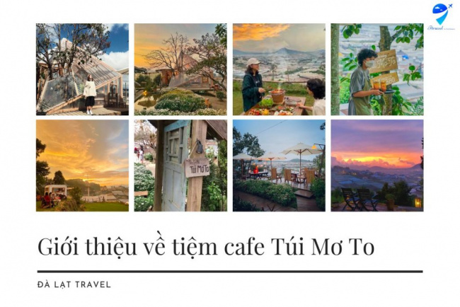 tiệm cafe túi mơ to đà lạt cùng khu vườn họa mi trắng – góc nhỏ check in sống ảo cực chill cho giới trẻ