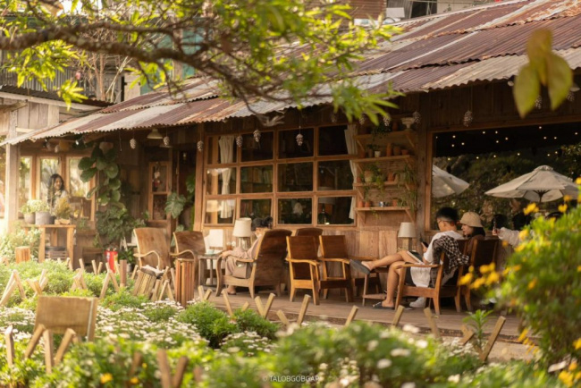 tiệm cafe túi mơ to đà lạt cùng khu vườn họa mi trắng – góc nhỏ check in sống ảo cực chill cho giới trẻ