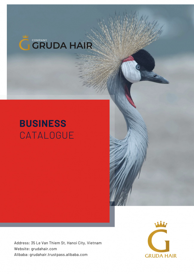 kiểu tóc, gruda hair: a reliable business hair in vietnam, gaining a globally high position.