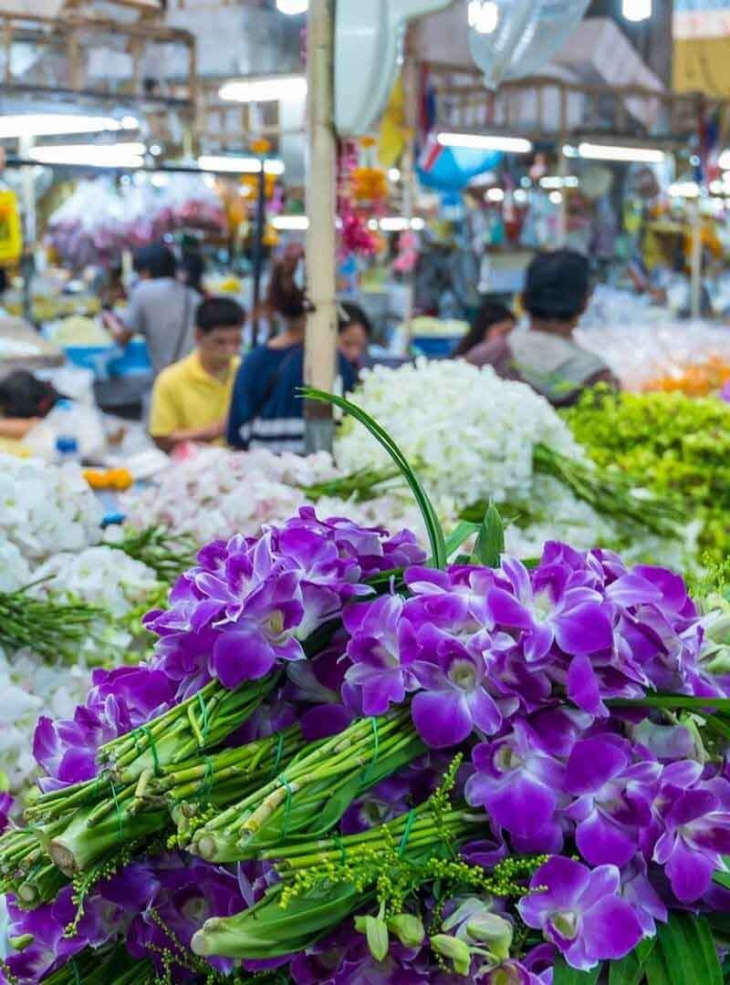 khám phá, trải nghiệm, ghé thăm chợ pak khlong - chợ hoa lớn nhất tại bangkok
