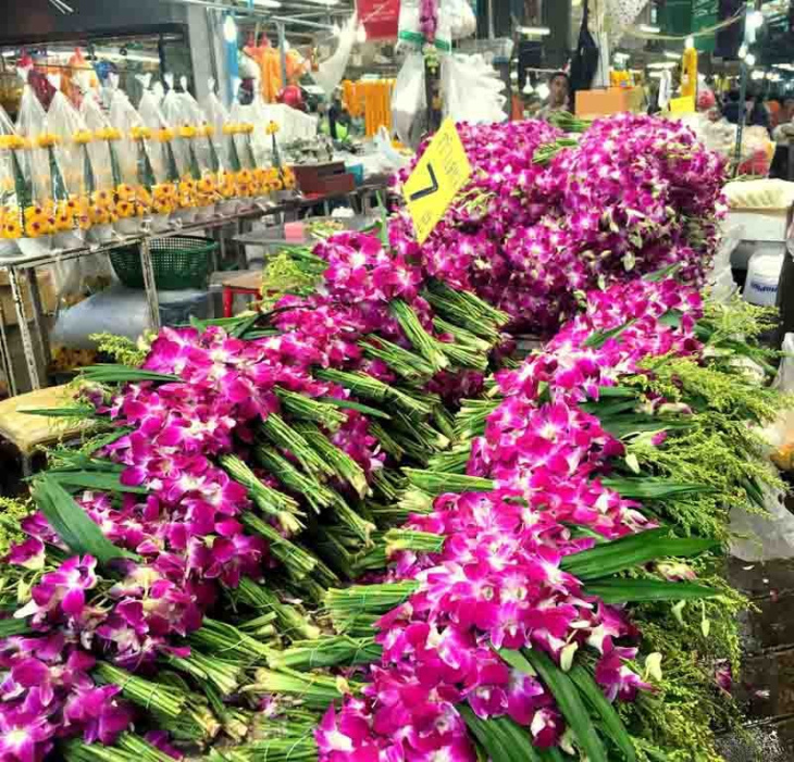 khám phá, trải nghiệm, ghé thăm chợ pak khlong - chợ hoa lớn nhất tại bangkok