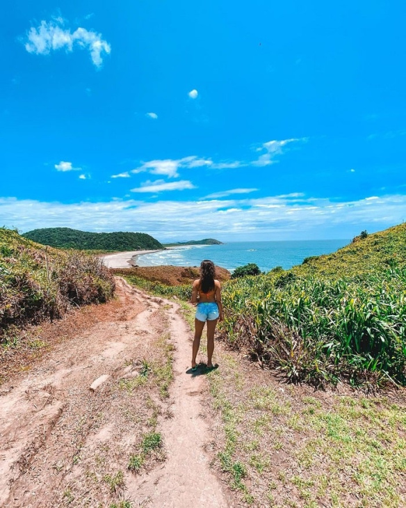 đảo ilha do mel, khám phá, trải nghiệm, khám phá thiên đường sinh thái ở đảo ilha do mel brazil