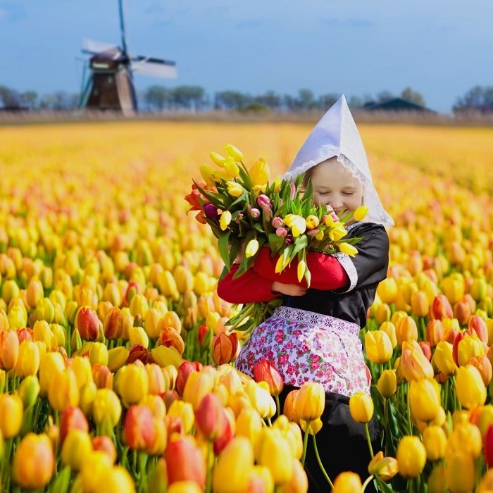 vườn hoa tulip trên thế giới, khám phá, trải nghiệm, dạo một vòng quanh những vườn hoa tulip trên thế giới rộng lớn và xinh đẹp