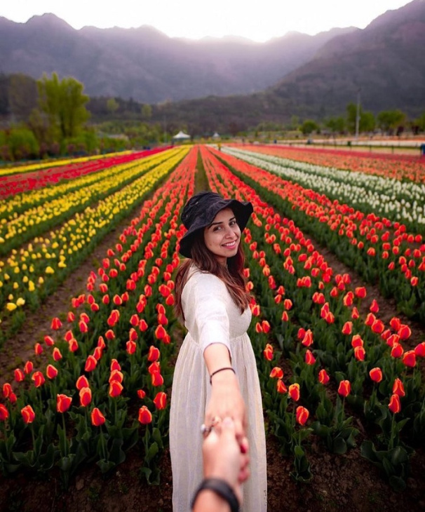 vườn hoa tulip trên thế giới, khám phá, trải nghiệm, dạo một vòng quanh những vườn hoa tulip trên thế giới rộng lớn và xinh đẹp