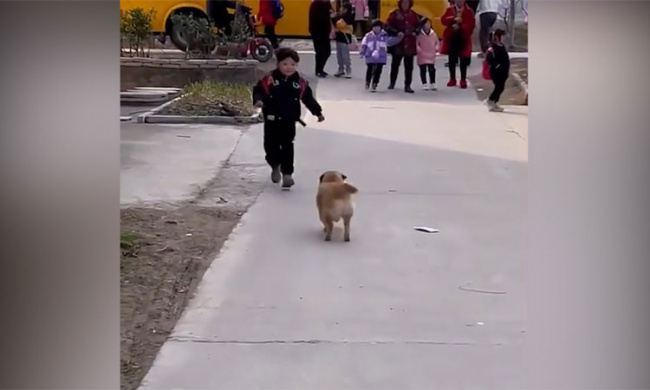 Cún cưng phấn khích khi đi đón cậu chủ