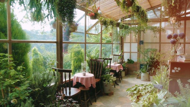 tiệm cà phê khu vườn mùa hè đà lạt đẹp tựa thiên đường có gì?