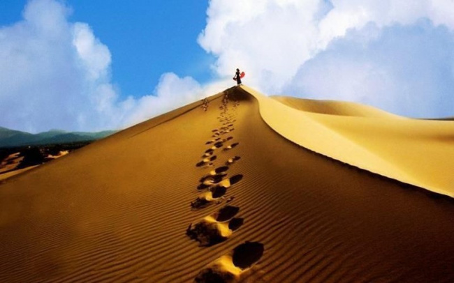 khám phá cồn cát quang phú – “sa mạc thu nhỏ” ở quảng bình