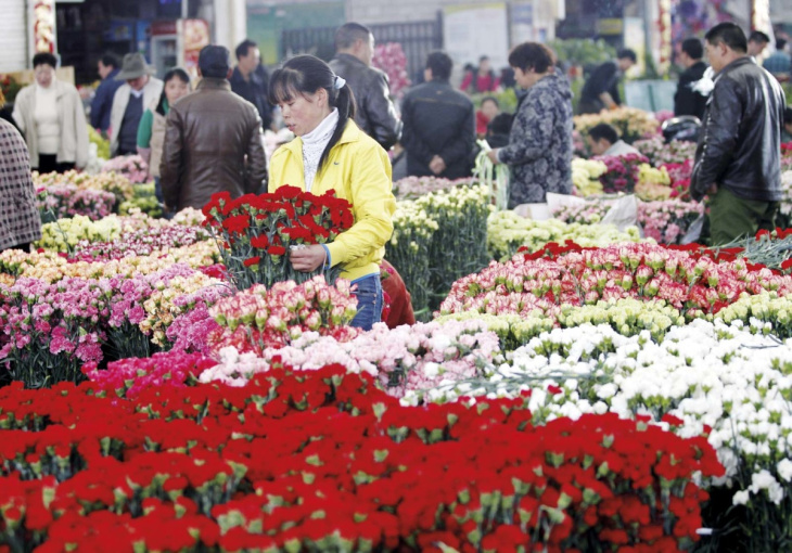 khám phá, chợ hoa đấu nam ( trung quốc) - chợ hoa lớn nhất châu á có gì đặc sắc?