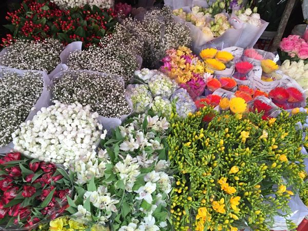khám phá, chợ hoa đấu nam ( trung quốc) - chợ hoa lớn nhất châu á có gì đặc sắc?