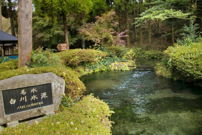 kinh nghiệm du lịch kumamoto và top 8 điểm du lịch nổi tiếng