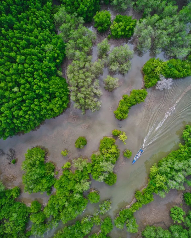 suối tiên, khám phá rừng ngập mặn cần giờ – khu dự trữ sinh quyển thế giới ở ngoại ô sài gòn