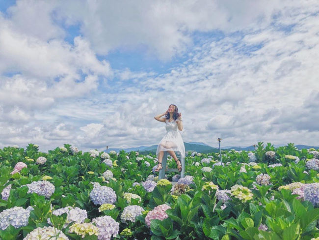 lưu ngay 20+ cách tạo dáng chụp ảnh ở vườn hoa cực đẹp gây sốt cộng đồng mạng