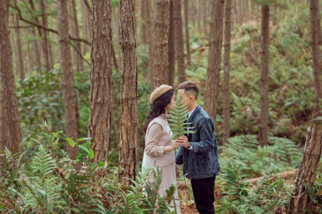 lưu ngay 15+ cách tạo dáng chụp ảnh trong rừng thông chuyên nghiệp, tuyệt đẹp