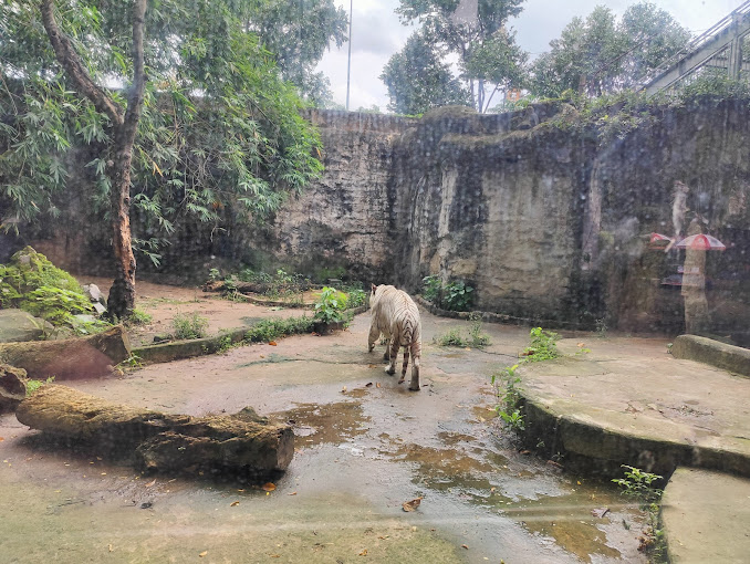suối tiên, thảo cầm viên – vườn thú lớn nhất việt nam ở sài gòn