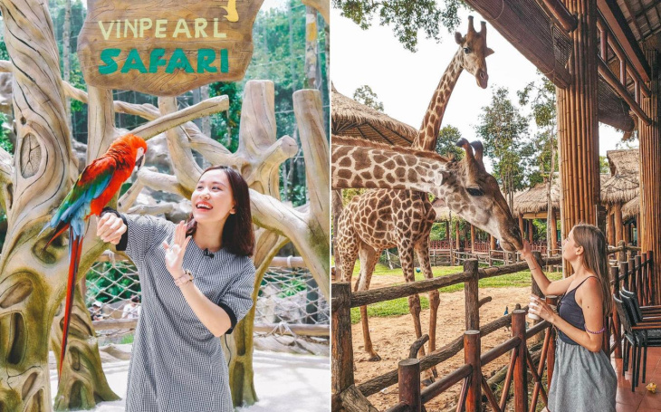 Tham quan vườn thú Safari Phú Quốc - Trải nghiệm khó quên cho giới trẻ, Khám Phá