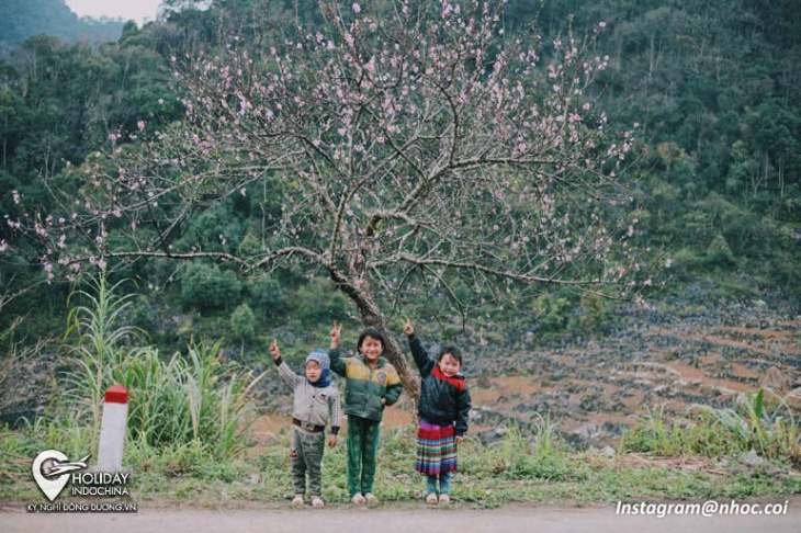 hà giang tháng ba hoa gạo đỏ khắp trời