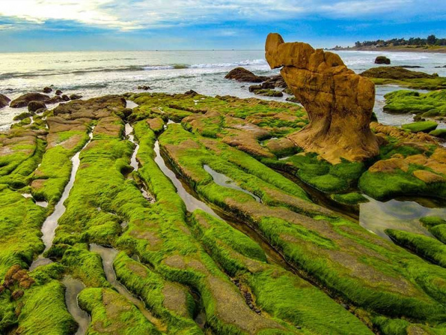 bãi biển phan thiết – khám phá vẻ đẹp hoang sơ giữa lòng biển xanh