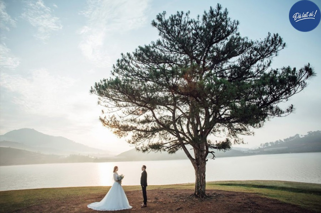top 10 địa điểm chụp ảnh cưới đà lạt đẹp nhất và kinh nghiệm khi đi chụp ảnh cưới