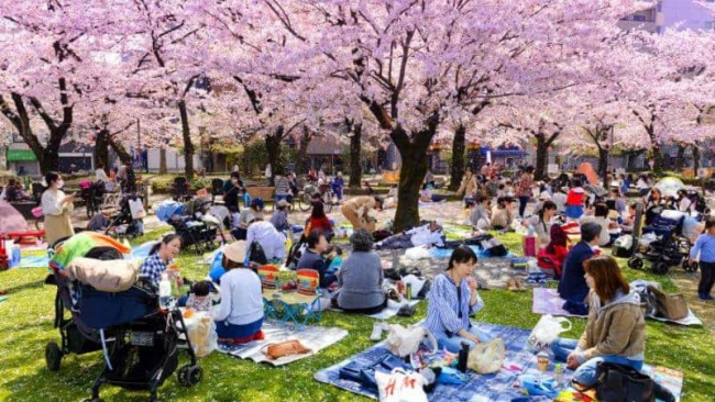 , công viên ueno - điểm đẹp nhất ngắm hoa anh đào nhật bản