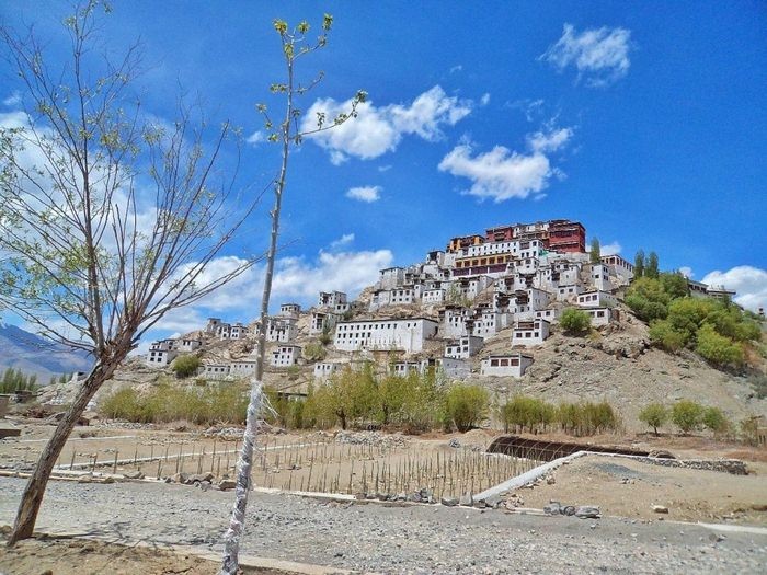 khám phá, trải nghiệm, cùng đến ladakh tham dự lễ gieo hạt shey doo lhoo tại tu viện shey