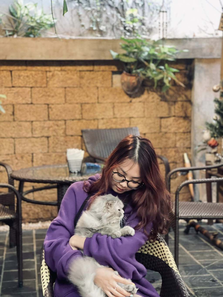Hà Nội, 10 quán cà phê mèo Hà Nội - điểm đến của những người yêu thú cưng