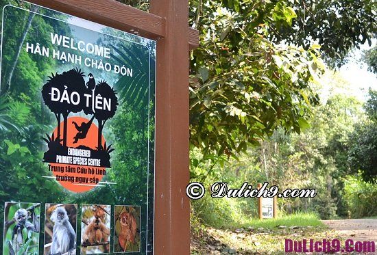 Kinh nghiệm du lịch rừng Nam Cát Tiên an toàn, thú vị từ A-Z, Điểm Đẹp