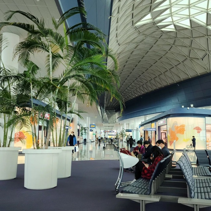 sân bay nổi tiếng ở châu á, khám phá, trải nghiệm, check in sang chảnh ở những sân bay nổi tiếng ở châu á có kiến trúc đẹp mãn nhãn 