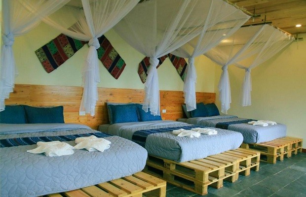 khách sạn, review jungle lodge pu luong – ẩn mình trong khung cảnh xinh đẹp