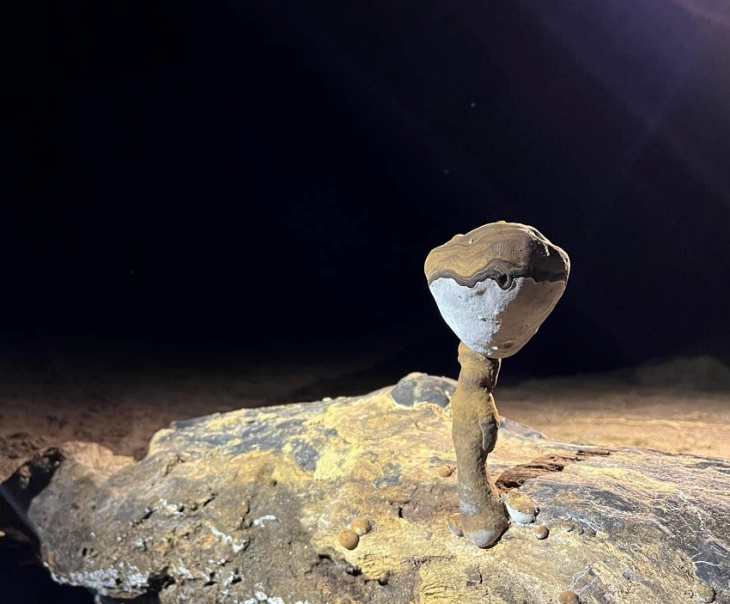 khám phá, trải nghiệm, mê mẩn vẻ đẹp “siêu thực” của 5 hang động nguyên sơ vừa được phát hiện tại quảng bình