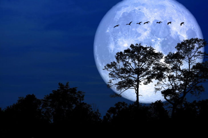 Khám phá và trải nghiệm hơn 77 hình ảnh mặt trăng huyền ảo đẹp và ấn tượng nhất để làm hình nền