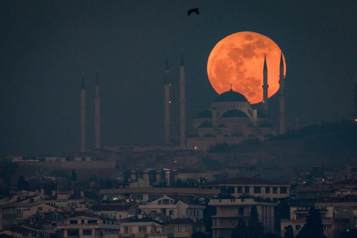 khám phá, trải nghiệm, 100+ ảnh trăng máu siêu đẹp buổi đêm ấn tượng nhất để chiêm ngưỡng