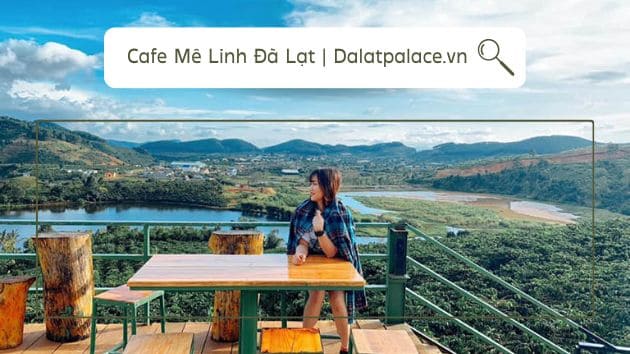 top 10+ quán cafe có ăn sáng ở đà lạt hot hit & hấp dẫn nhất