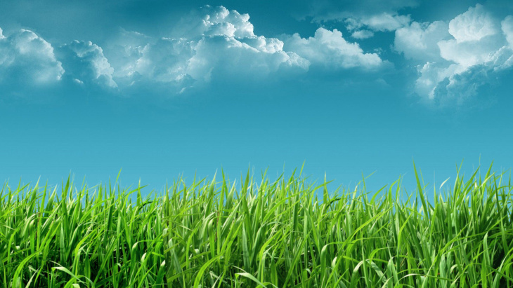 Hình nền  Ánh sáng mặt trời Chim Bầu trời cánh đồng nhà ở Bong bóng  Đồng cỏ đồng cỏ trơn môi trường sống môi trường tự nhiên Hình nền máy  tính