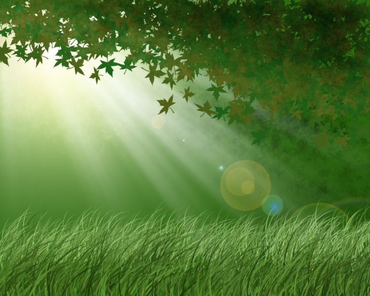 hình ảnh  thiên nhiên thực vật cánh đồng Bãi cỏ nhiếp ảnh đồng cỏ  Ánh sáng mặt trời Lá Cánh hoa Daisy màu xanh lá Vĩ mô tự nhiên Thực  vật