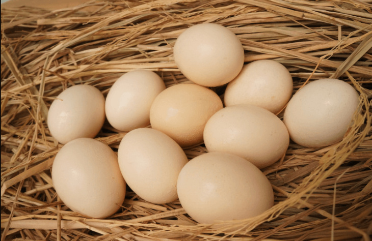 10 điều lý thú về quả trứng gà  VnExpress