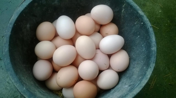 Giá trứng tại chợ tăng vọt  VĨNH THÀNH ĐẠT