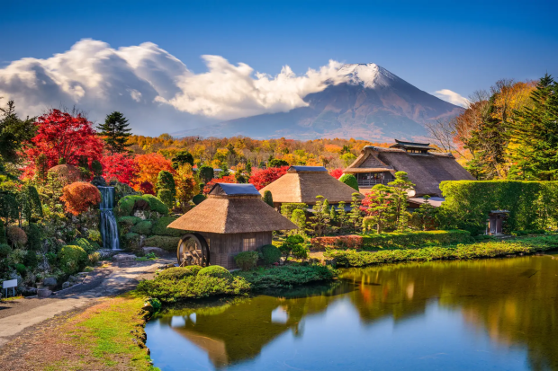 vi vu du lịch nhật bản: osaka – nara – kyoto – yamanashi – fuji – tokyo