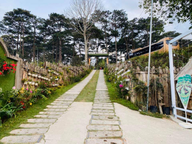 top 12 homestay có không gian sân vườn gần trung tâm chợ đà lạt, lâm đồng