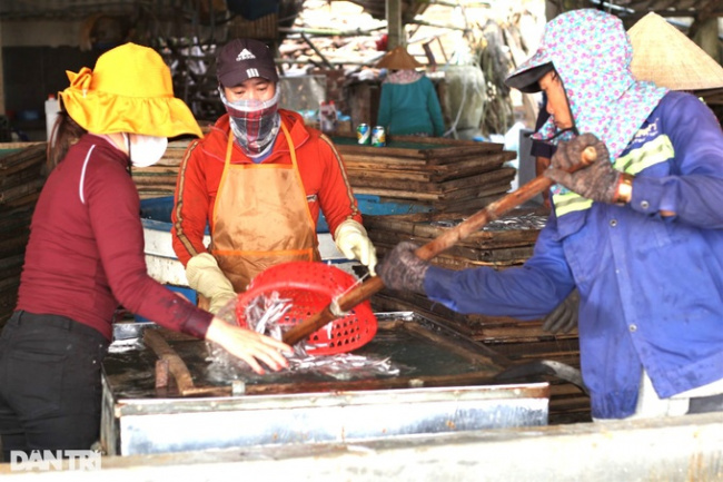 fish village, quang nam, thang binh district, red season at the steaming fish village